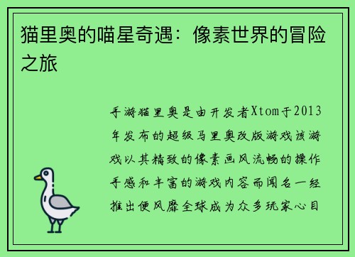 猫里奥的喵星奇遇：像素世界的冒险之旅